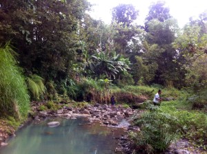 2nd point of Code River