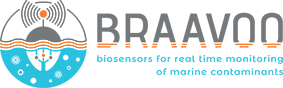 BRAAVOO_logo_72dpi_100x30mm