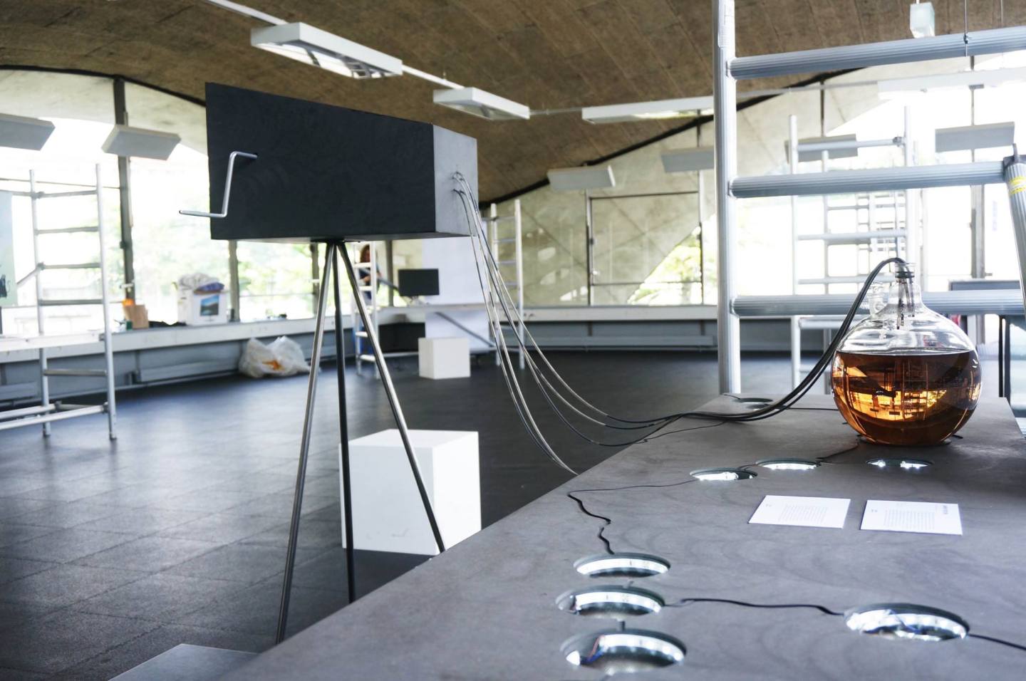 Camera Obscura et les artefacts de l’invisible | biodesign for the real ...