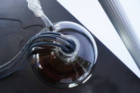 13483044_568048010033618_3486711665719459178_o